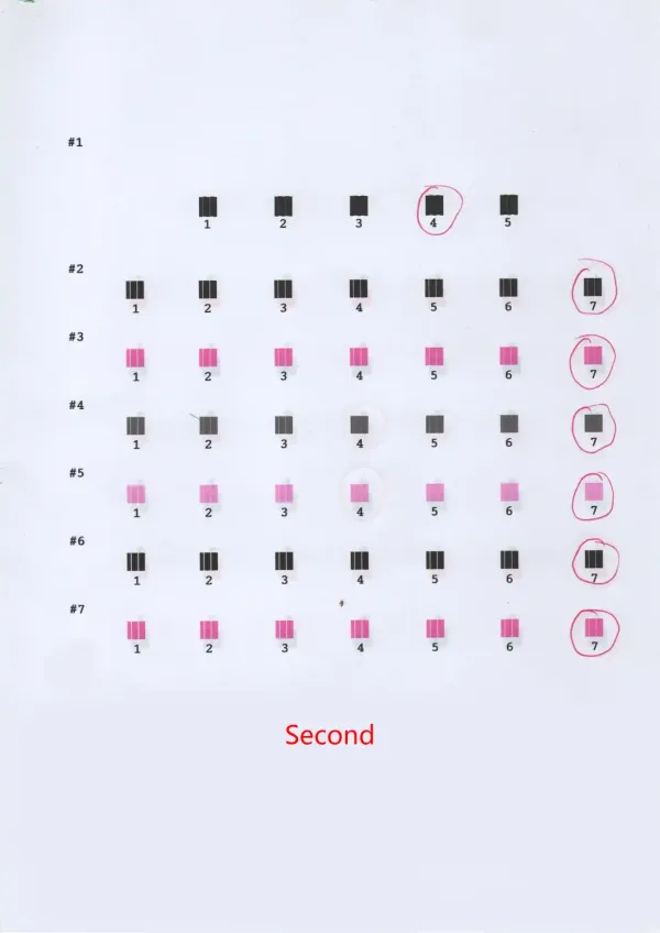 Tin tức-EPSON Printhead Calibration 02