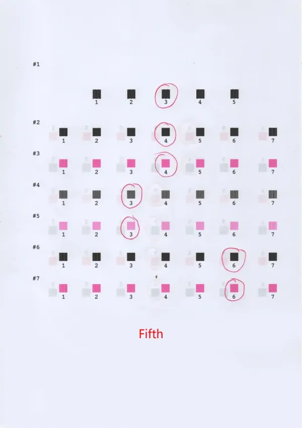 Tin tức-EPSON Printhead Calibration 05