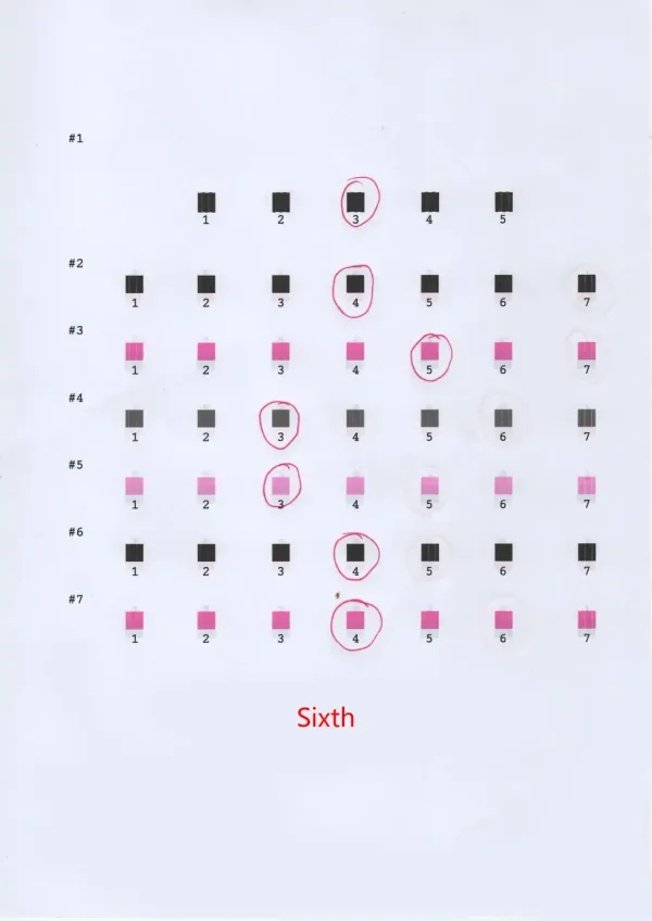 Tin tức-EPSON Printhead Calibration 06